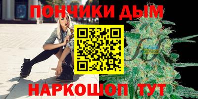 шишки Бийск