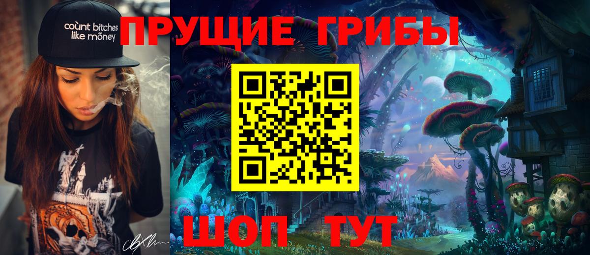 Кировск  купить наркотики сайты  Вход с VPN  Псилоцибиновые грибы Cubensis  Псилоцибиновые грибы Psilocybine cubensis 